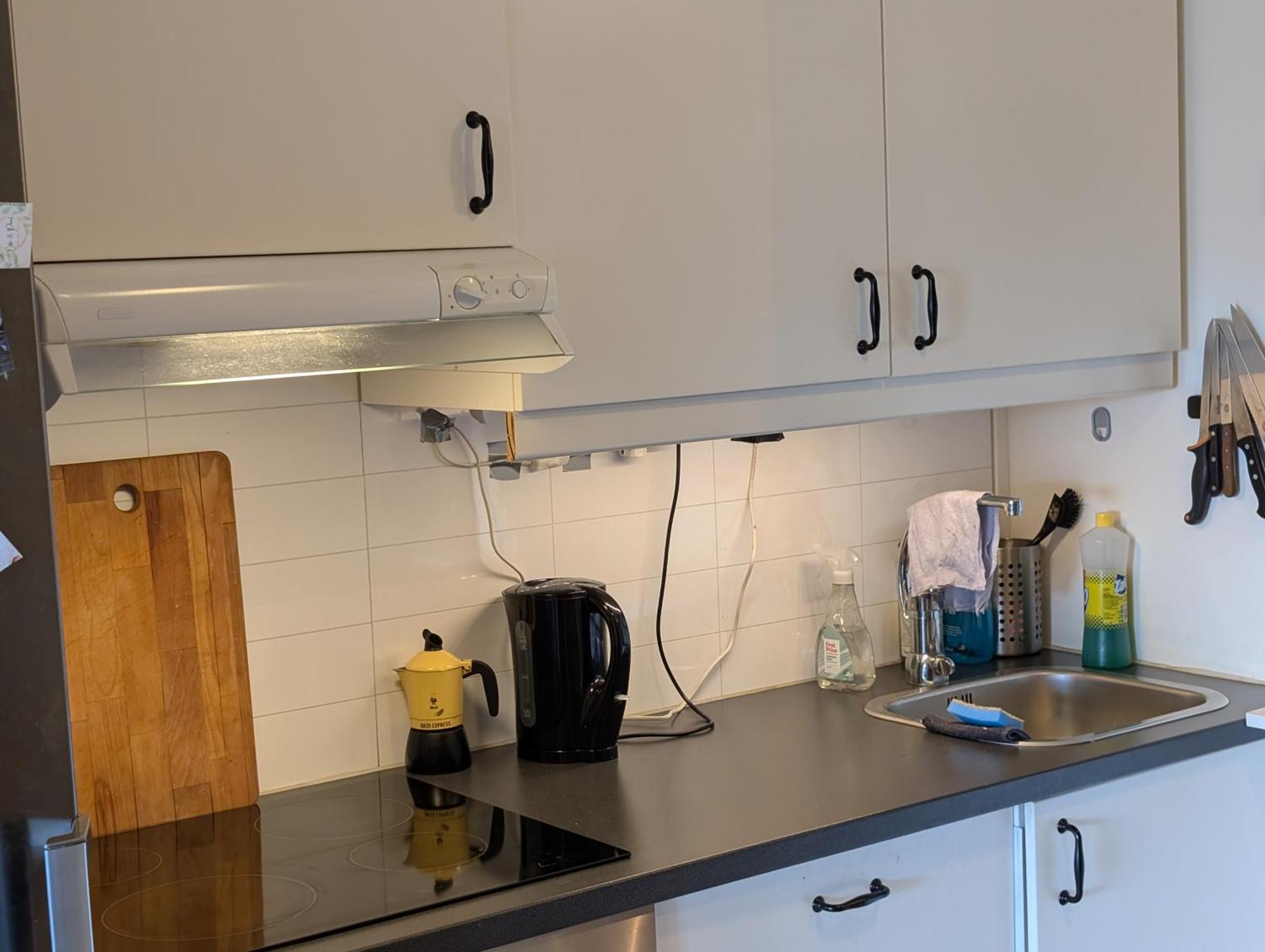 Spacious And Cozy Study Apartment With Balcony Oslo Ngoại thất bức ảnh