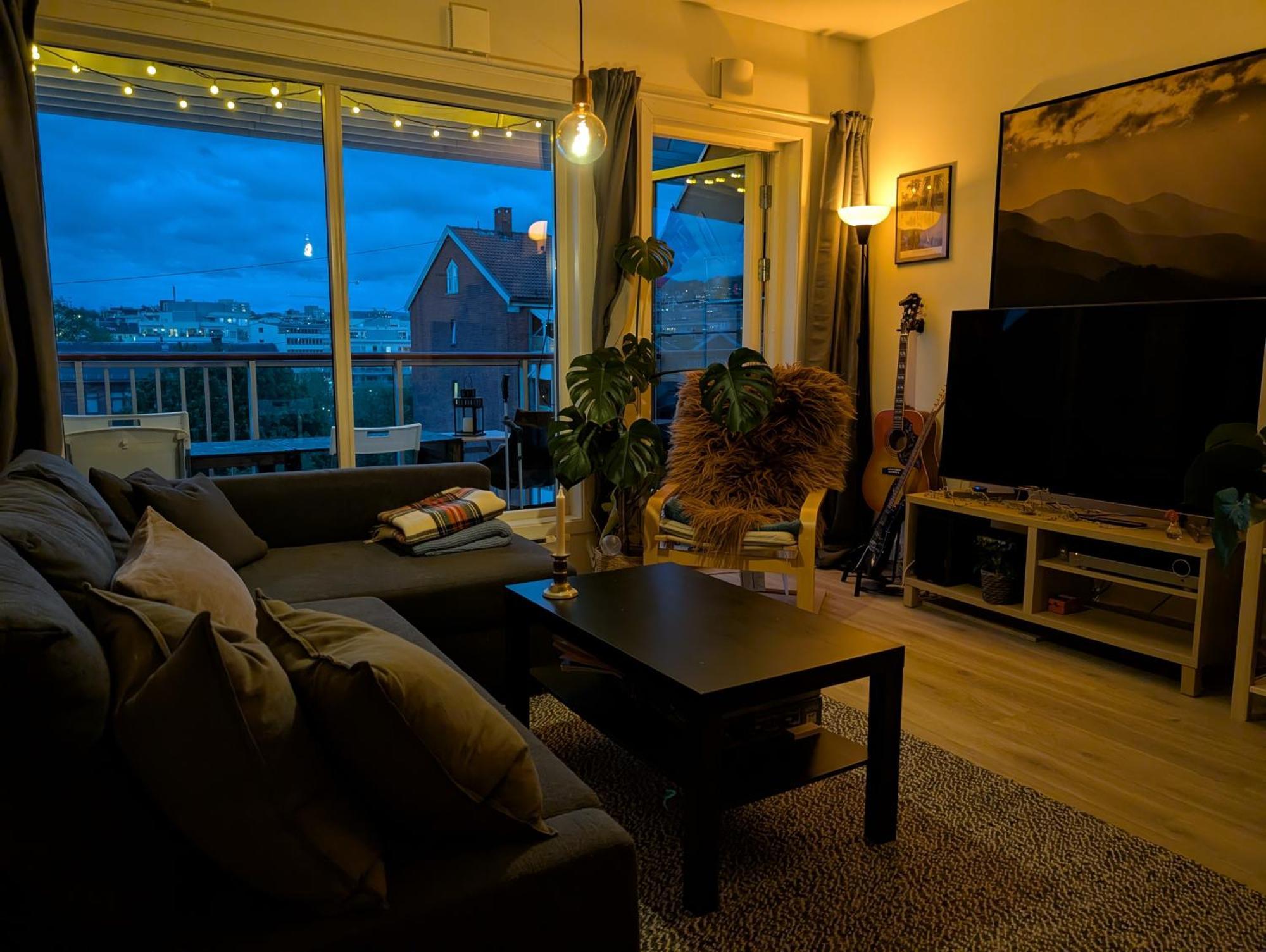 Spacious And Cozy Study Apartment With Balcony Oslo Ngoại thất bức ảnh